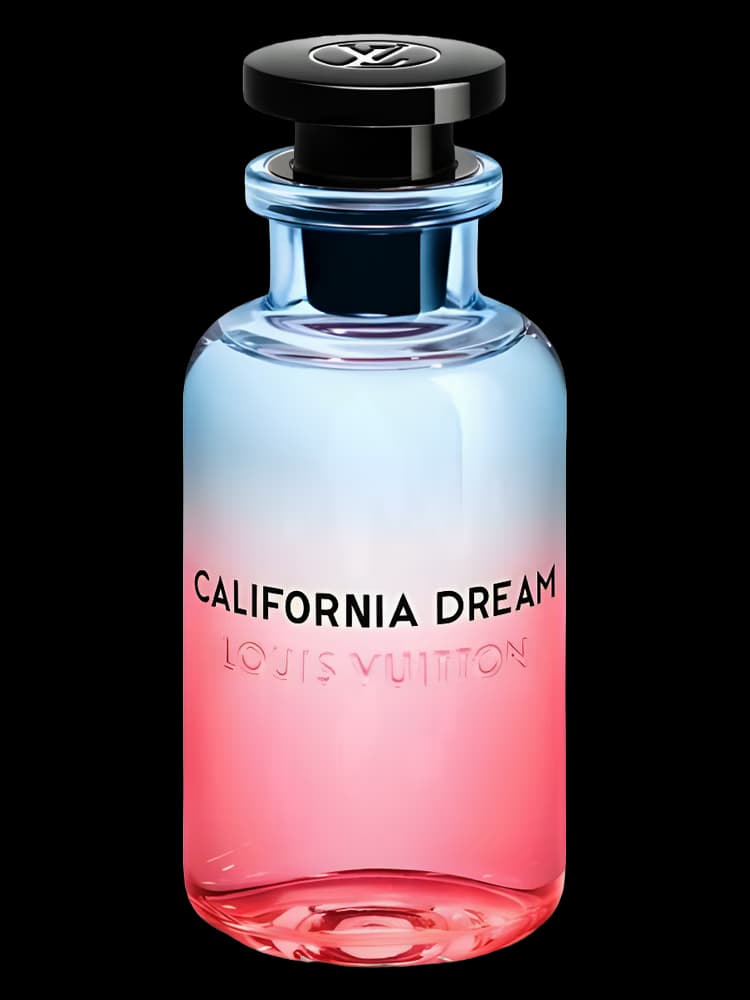 لویی ویتون کالیفورنیا دریم | Louis Vuitton California Dream