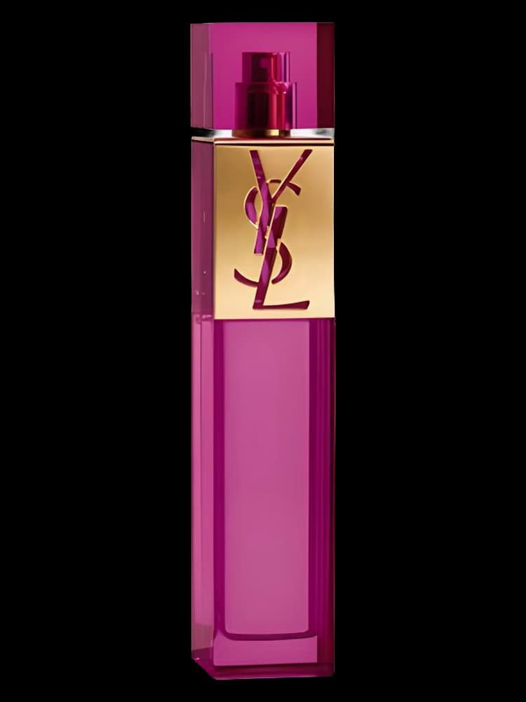 ایو سن لورن اله | Yves Saint Laurent elle