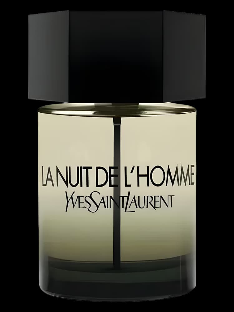ایو سن لورن لا نویت لهوم | YSL La Nuit de L`Homme