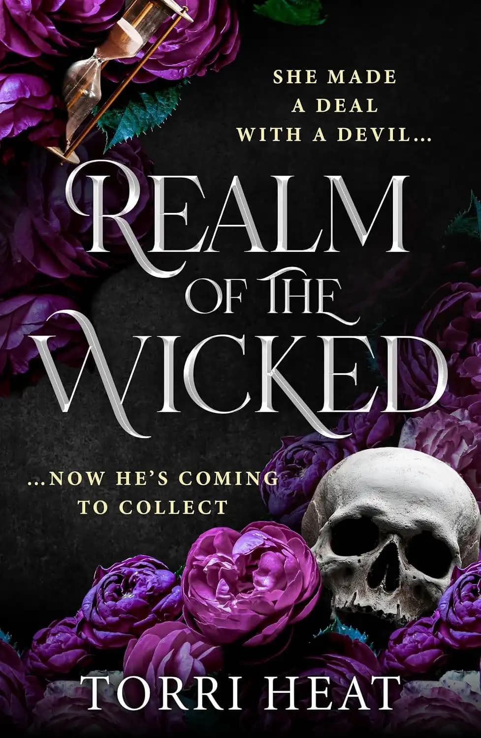 کتاب قلمرو شریران (Realm of the Wicked) نسخه انگلیسی PDF | توری هیت