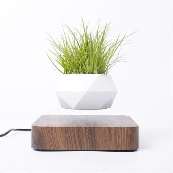 گلدان معلق LANGTU — تصویر ۴