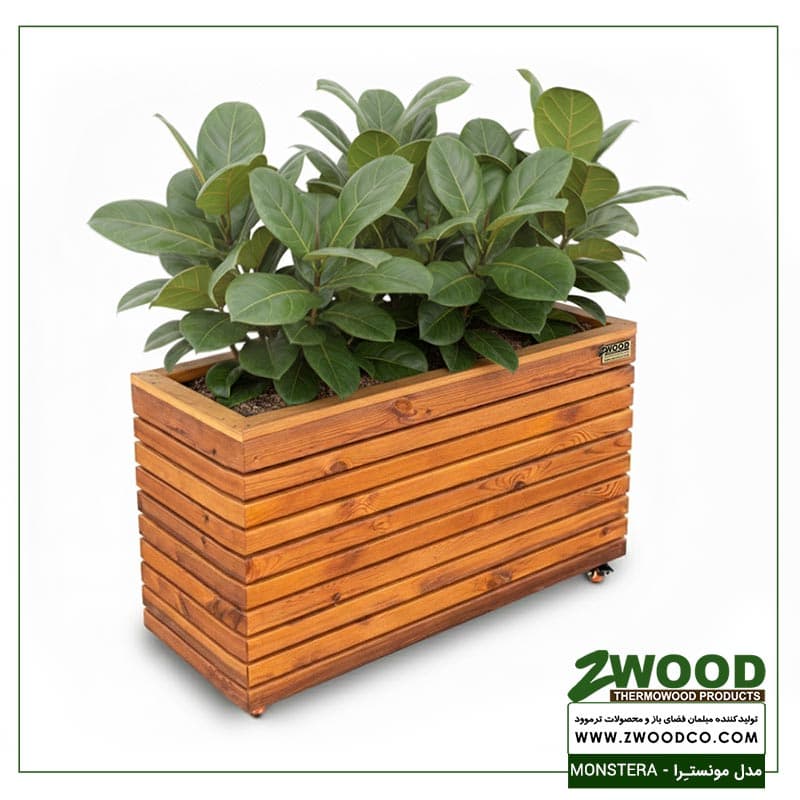 گلدان کادویی مونسترا – برندzwood — تصویر ۳