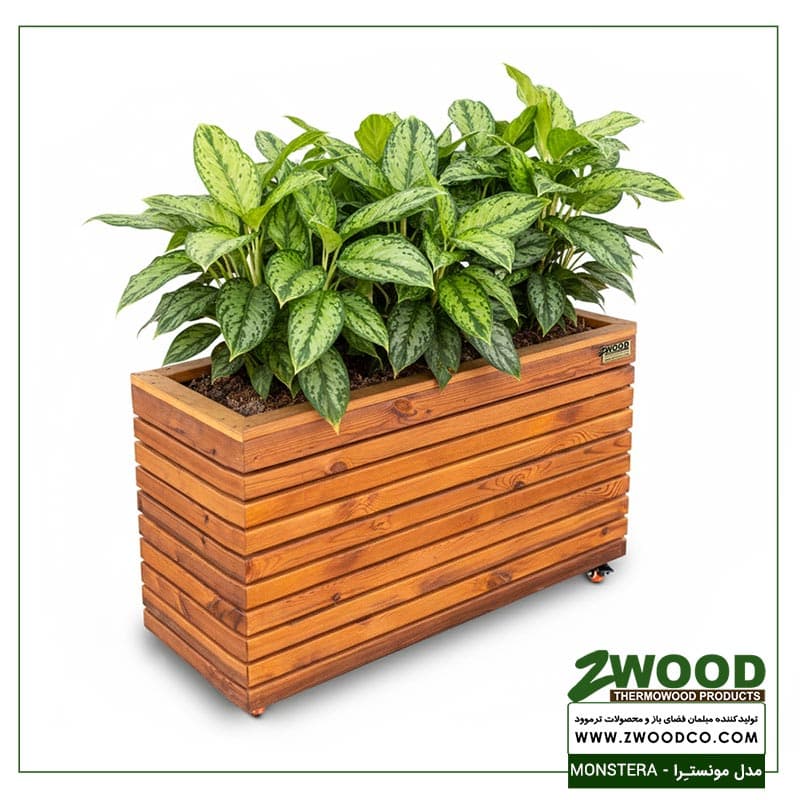 گلدان کادویی مونسترا – برندzwood — تصویر ۲