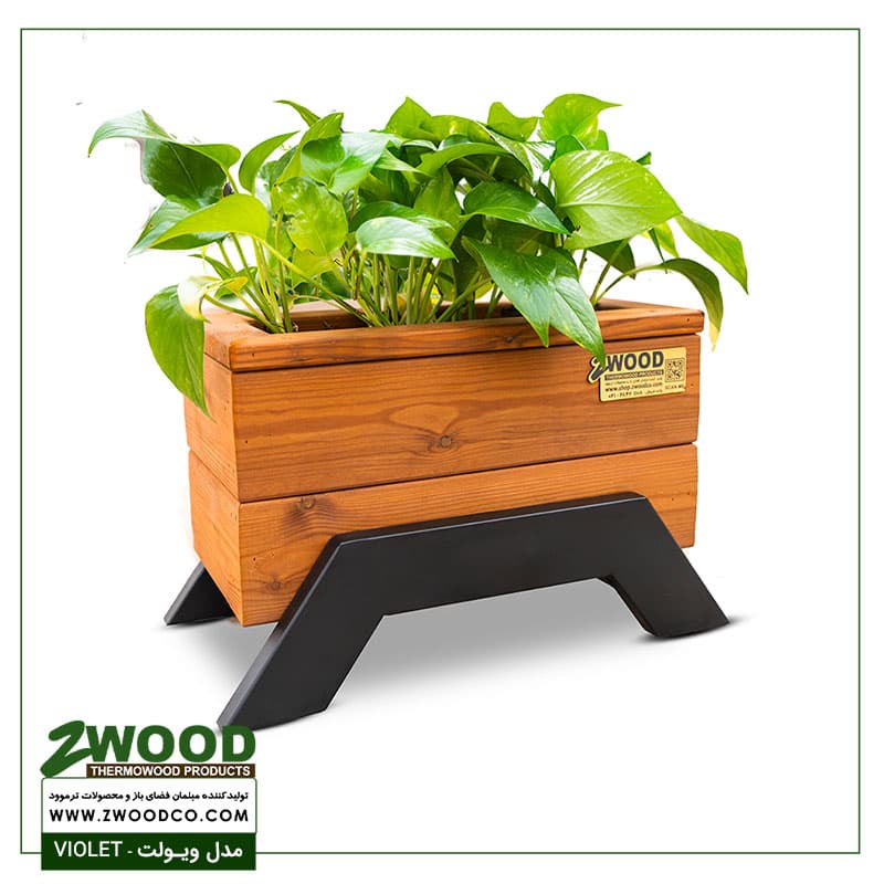 گلدان تبلیغاتی ویولت – برندzwood — تصویر ۳