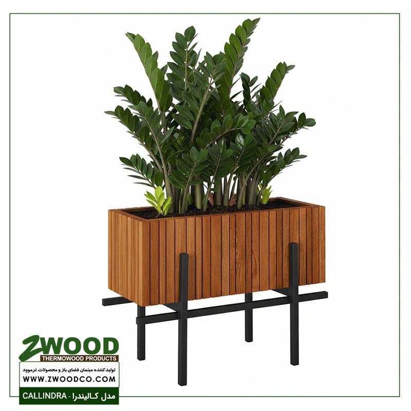 فلاور باکس کالیندرا – برندzwood — تصویر ۴