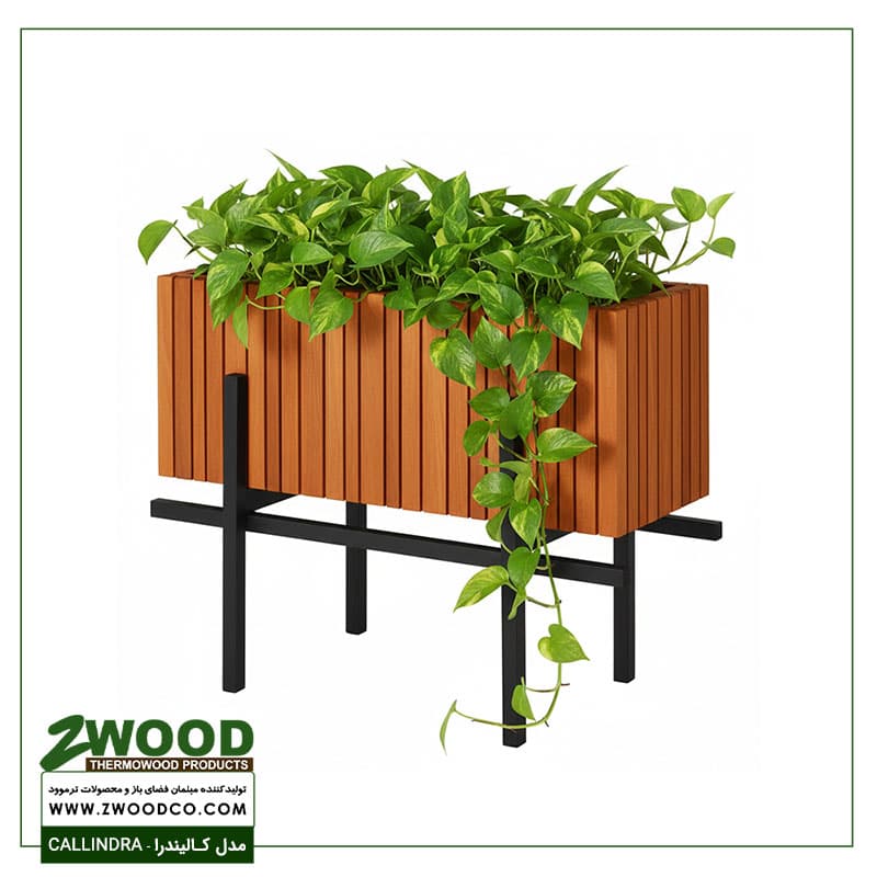 فلاور باکس کالیندرا – برندzwood — تصویر ۳