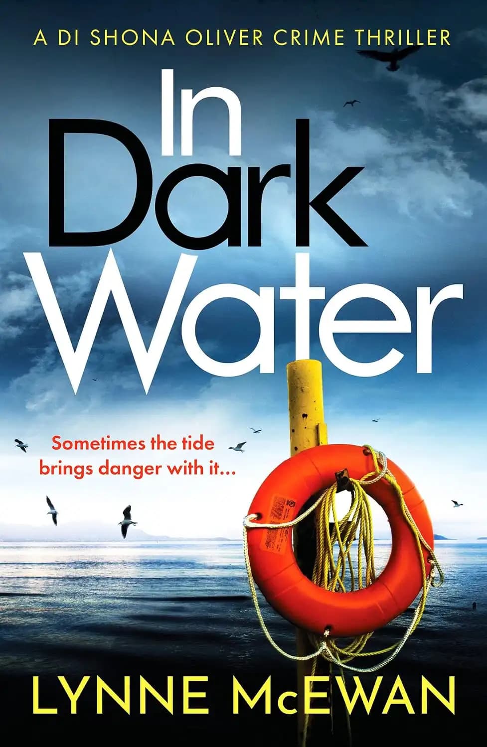کتاب در آب‌های تاریک (In Dark Water) نسخه انگلیسی PDF | لین مک‌ایوان