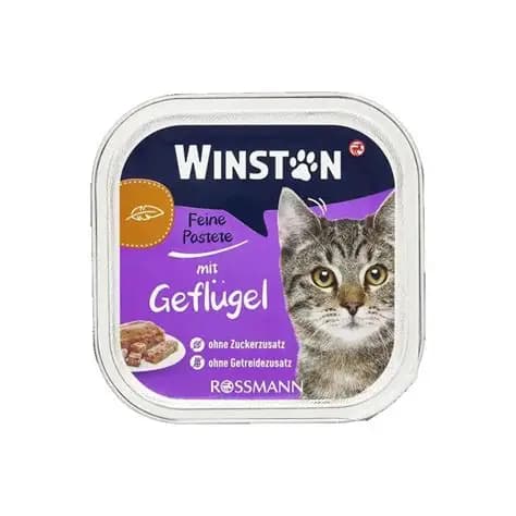 ووم گربه وینستون با طعم مرغ Winston
