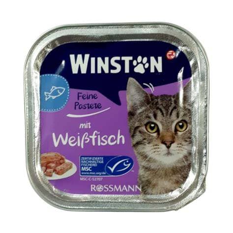 ووم گربه وینستون با طعم ماهی Winston