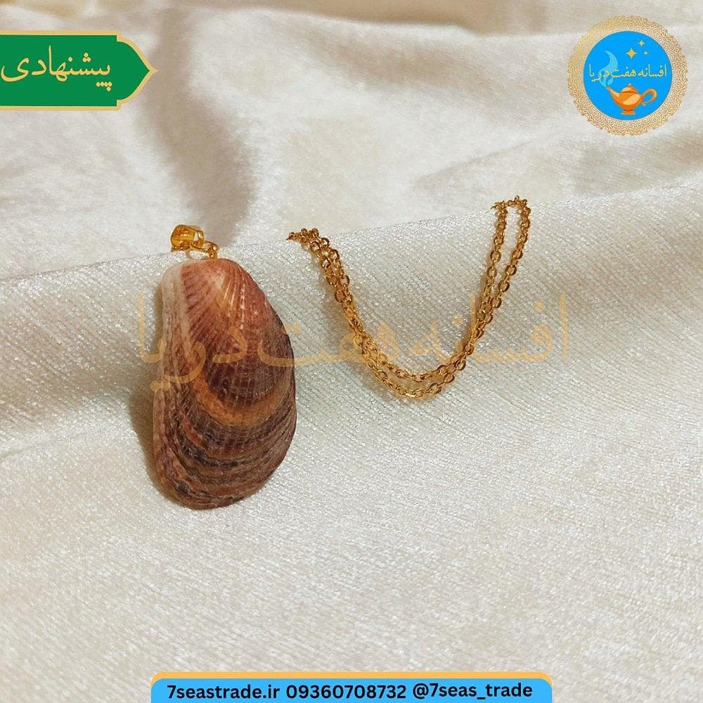 گردنبند فلزی طلایی مدال صدف طبیعی دریا کشیده رنگ قهوه ای صنایع دستی بندر انزلی