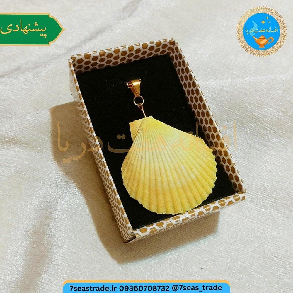گردنبند فلزی طلایی مدال صدف طبیعی دریا رنگ زرد سایز متوسط صنایع دستی هرمزگان — تصویر ۲