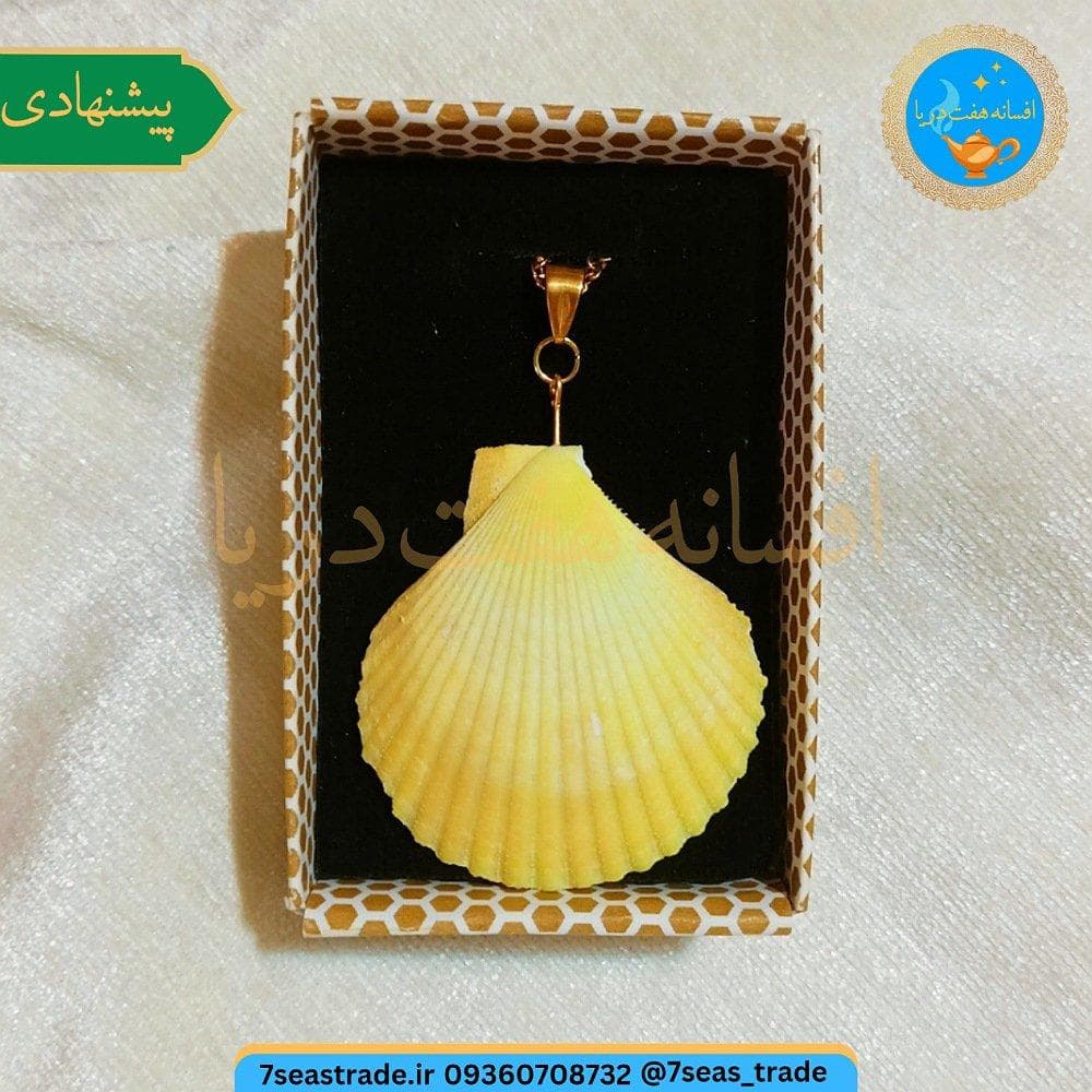 گردنبند فلزی طلایی مدال صدف طبیعی دریا رنگ زرد سایز متوسط صنایع دستی هرمزگان — تصویر ۳