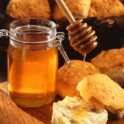 عسل طبیعی 500 گرمی ارتفاعات بینالود — تصویر ۳