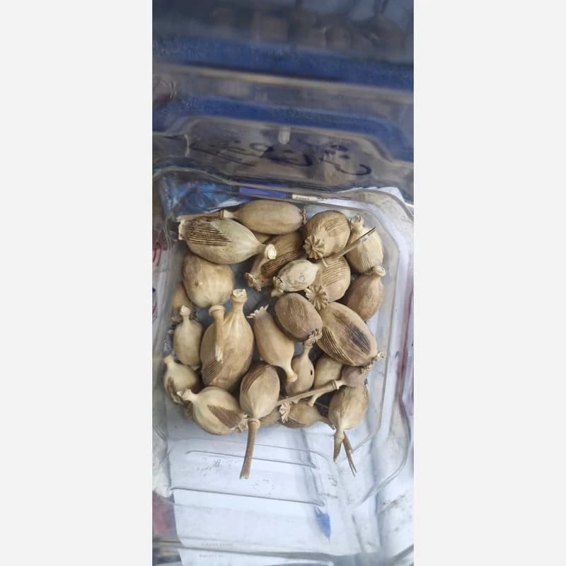 قوزه خش خاش 75 گرم