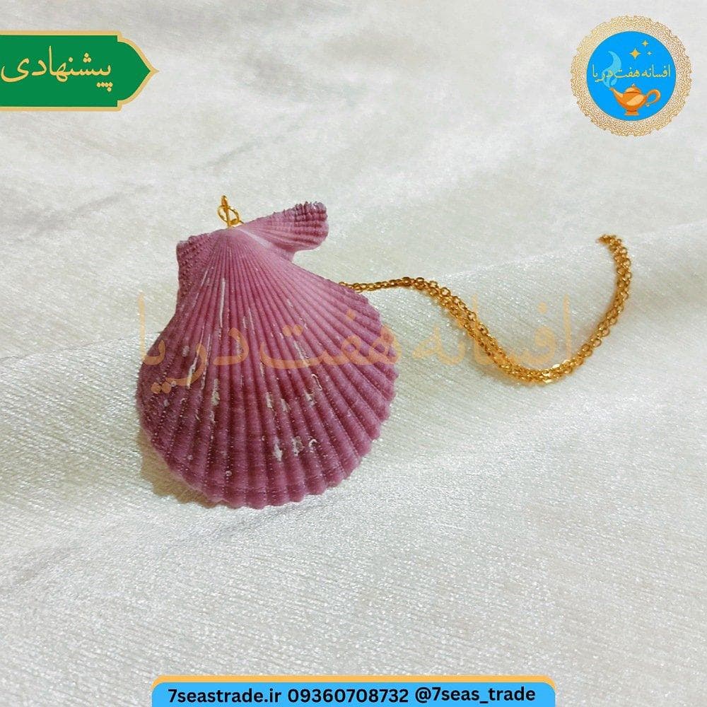 گردنبند فلزی طلایی مدال صدف طبیعی دریا رنگ بنفش سایز بزرگ صنایع دستی هرمزگان