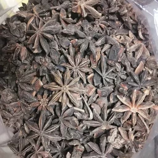بادیان ستاره ای 75 گرم