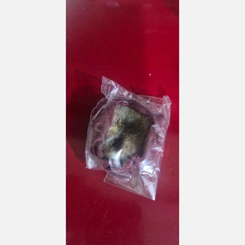 نام وس کف تار یک عدد
