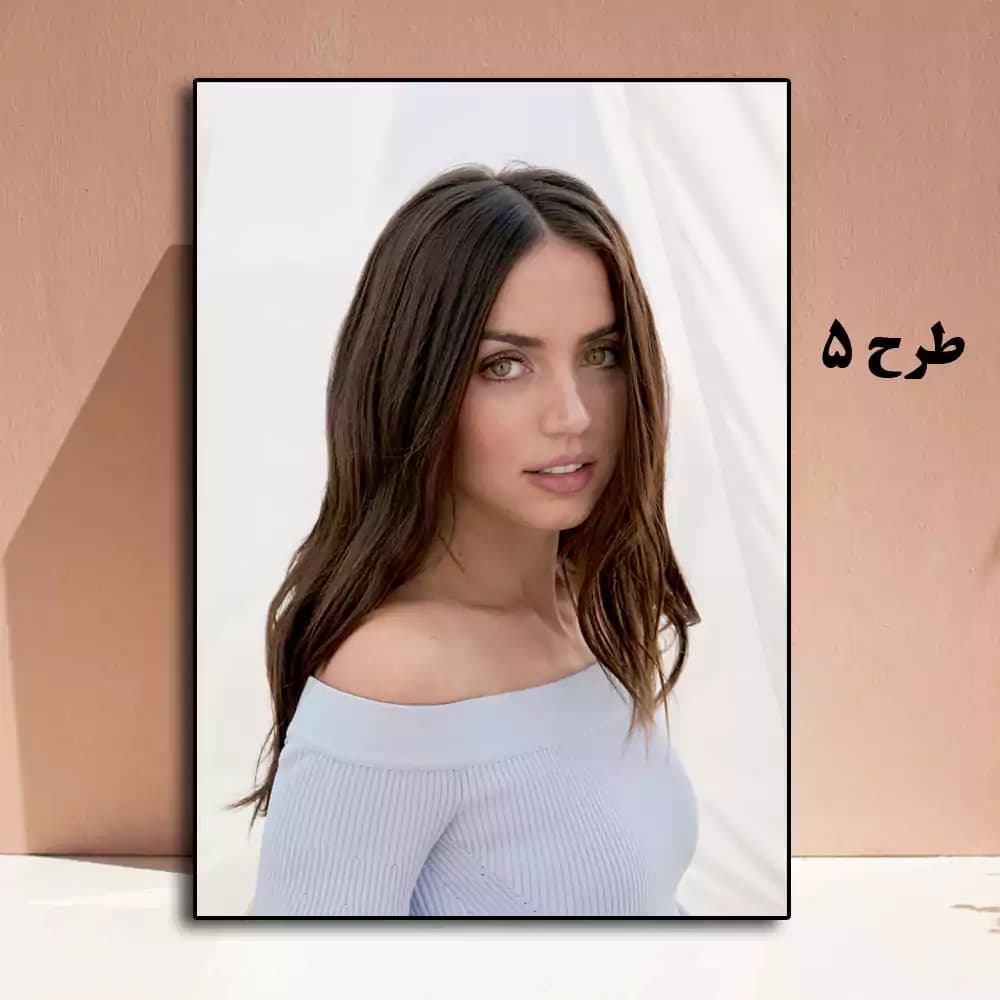 تابلو آنا د آرماس — تصویر ۵