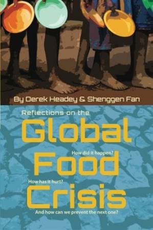 دانلود کتاب Reflections on the Global Food Crisis: how did it happen? how has it hurt? and how can we prevent the next one? (IFPRI)
