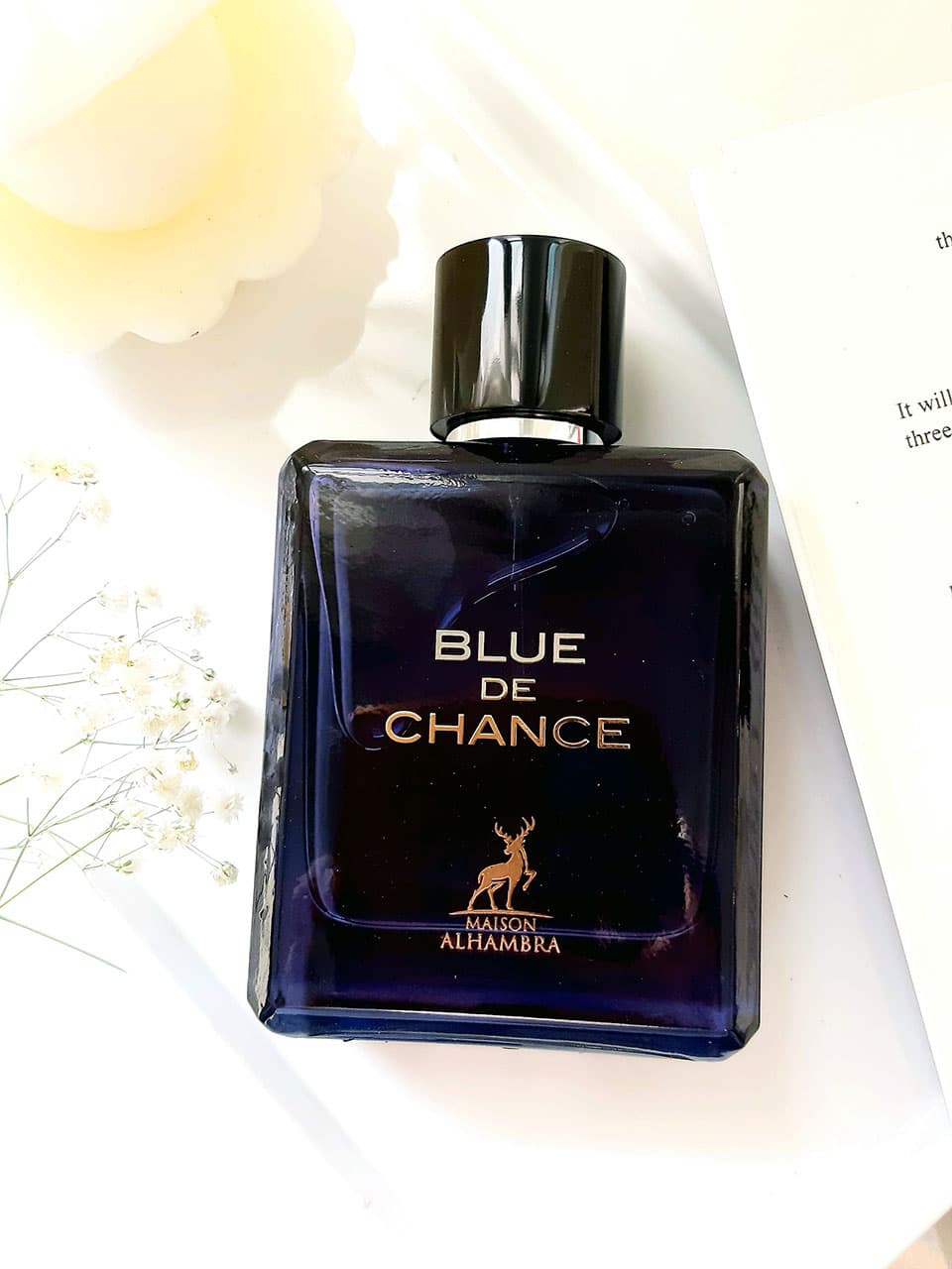 ادکلن الحمبرا کالکشن Chanel Bleu de Chanel حجم ۱۰۰ میلی‌لیتر