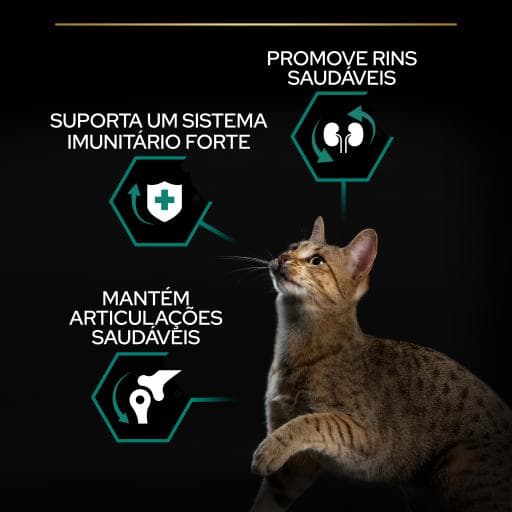 غذای خشک گربه بالغ پروپلن رنال مرغ Proplan Renal plus وزن 1.5 کیلوگرم — تصویر ۳