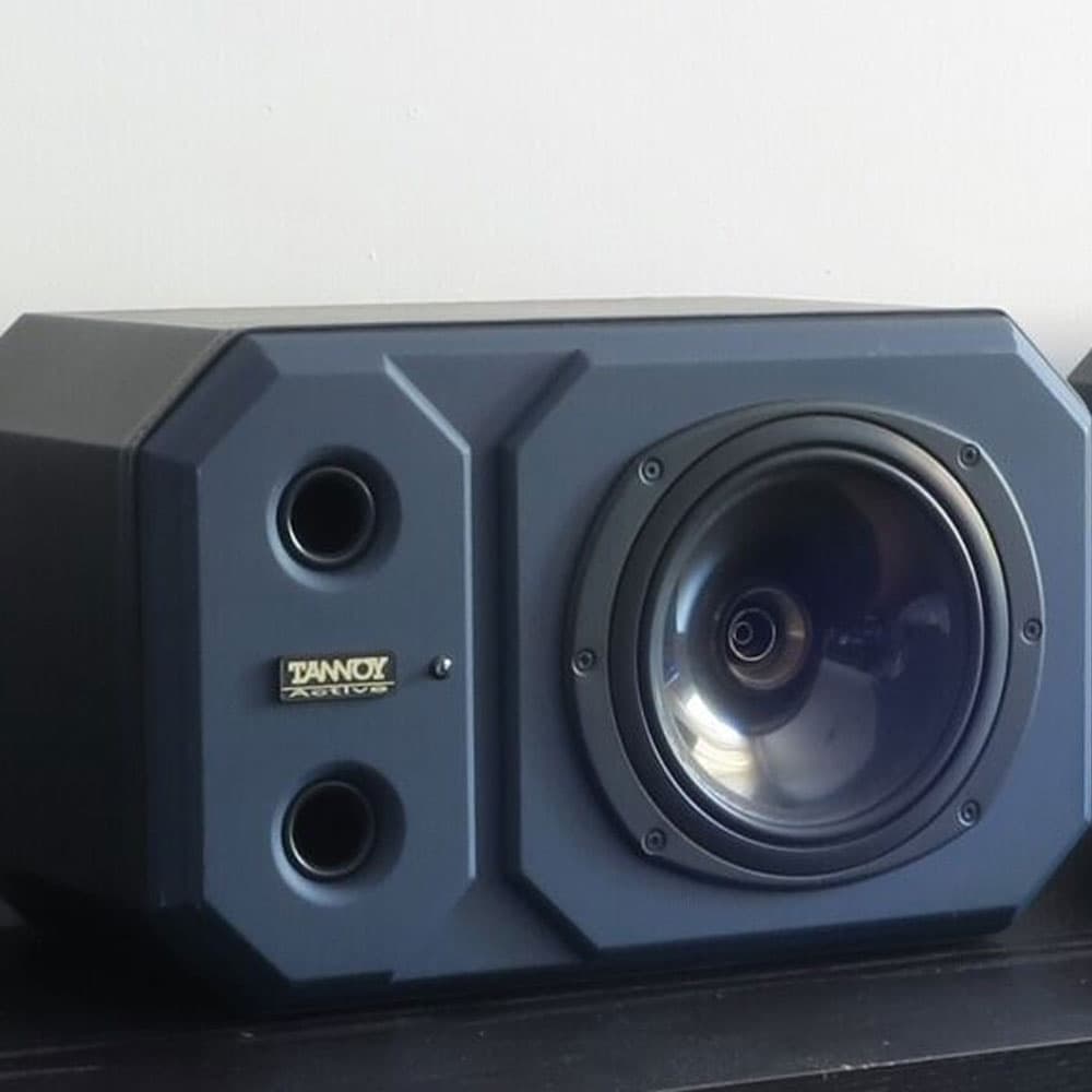 اسپیکر مانیتور دست دوم TANNOY System 800a — تصویر ۵
