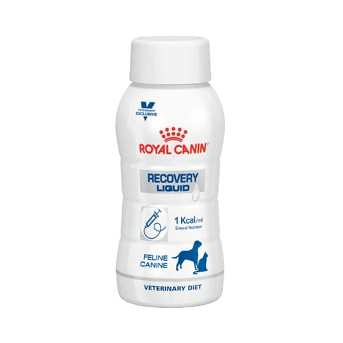 مایع ریکاوری سگ و گربه رویال کنین Royal Canin Recovery Liquid حجم 200 میل