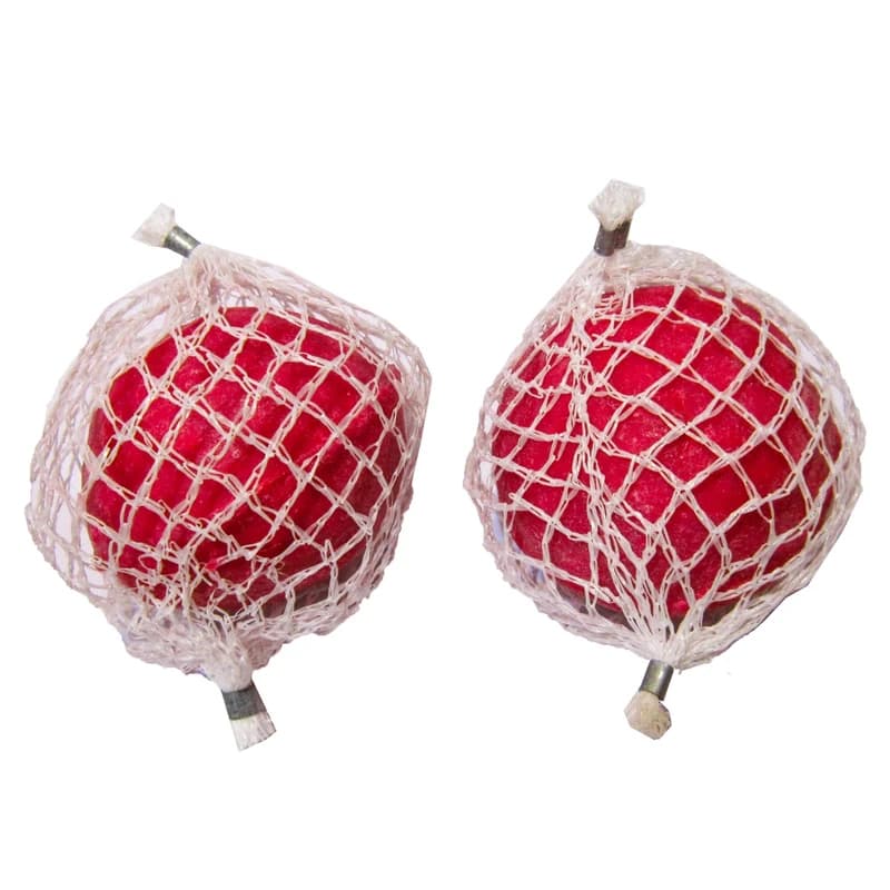 شوره گیر کولر معجزه گر(بسته 2عددی)