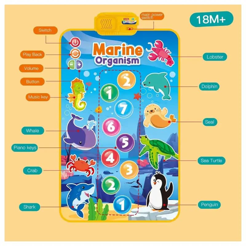 مت کودک موزیکال مدل Baby Toddler Mat طرح حیوانات دریایی کد 75752 — تصویر ۶