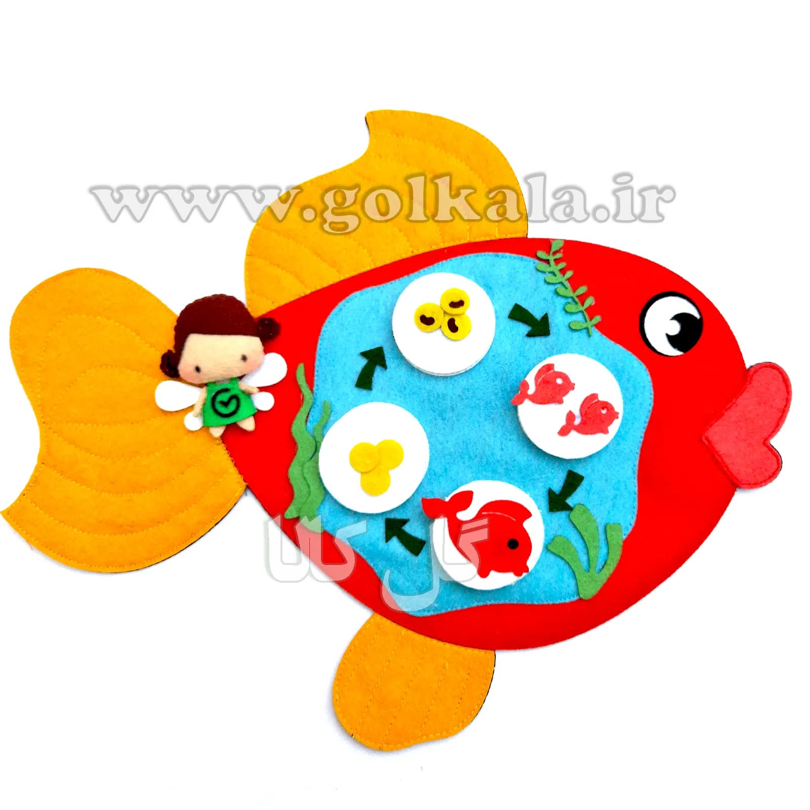 چرخه رشد زندگی ماهی 🐠 نمدی گل‌کالا (۳۰ سانت)
