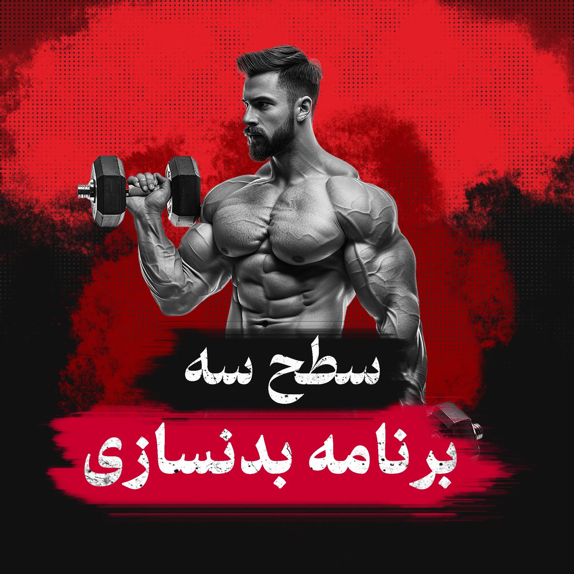 برنامه بدنسازی باشگاهی سطح سه