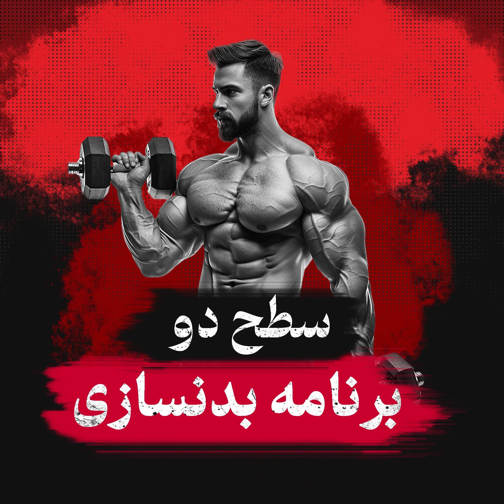 برنامه بدنسازی باشگاهی سطح دو