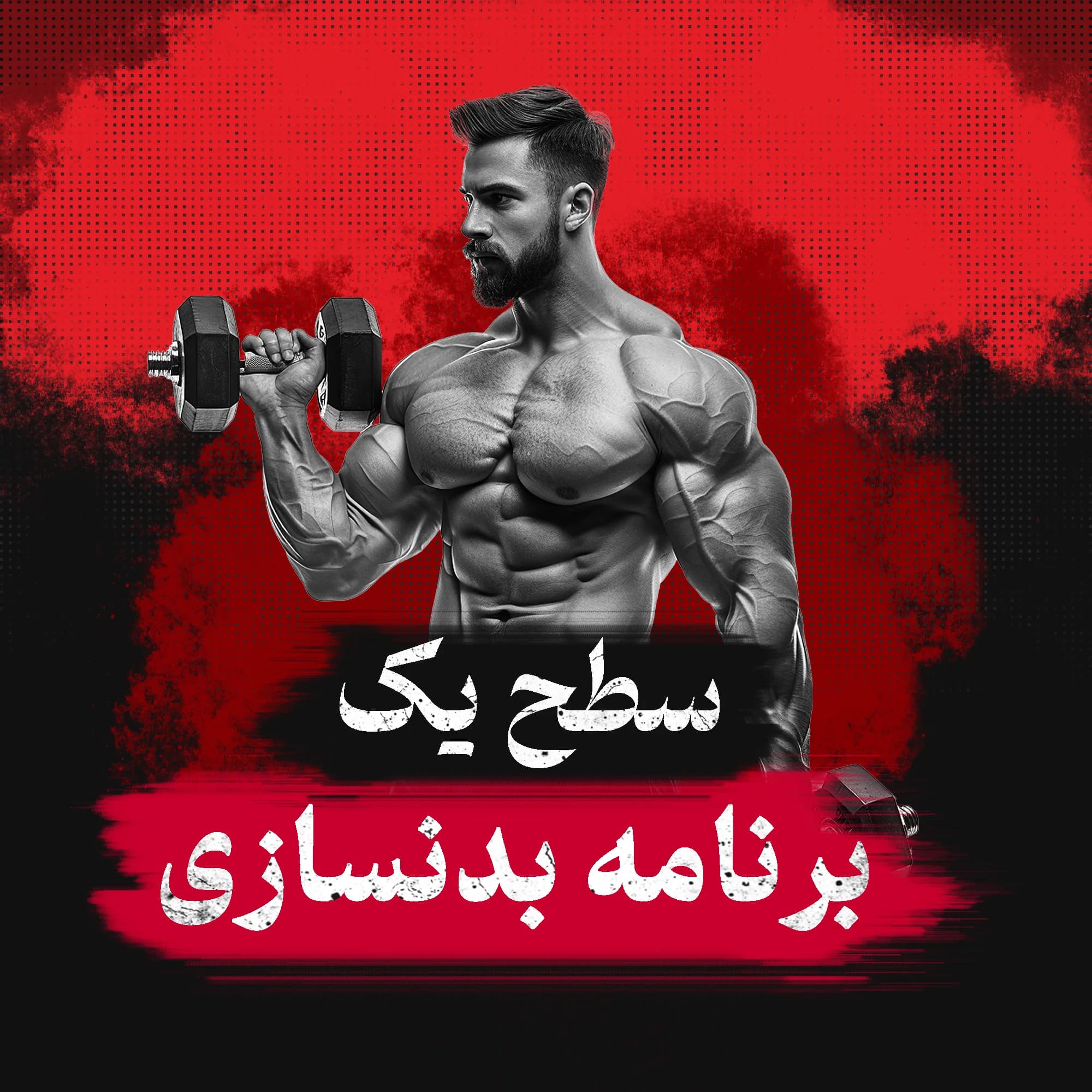برنامه بدنسازی باشگاهی سطح یک