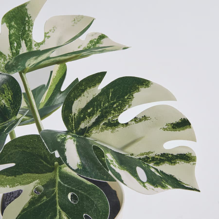 گلدان گل مصنوعی FEJKA مدل Monstera ایکیا — تصویر ۳