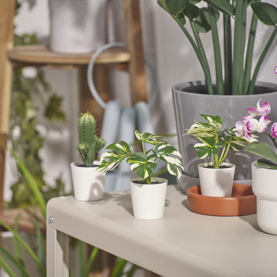 گلدان گل مصنوعی FEJKA مدل Monstera ایکیا — تصویر ۲