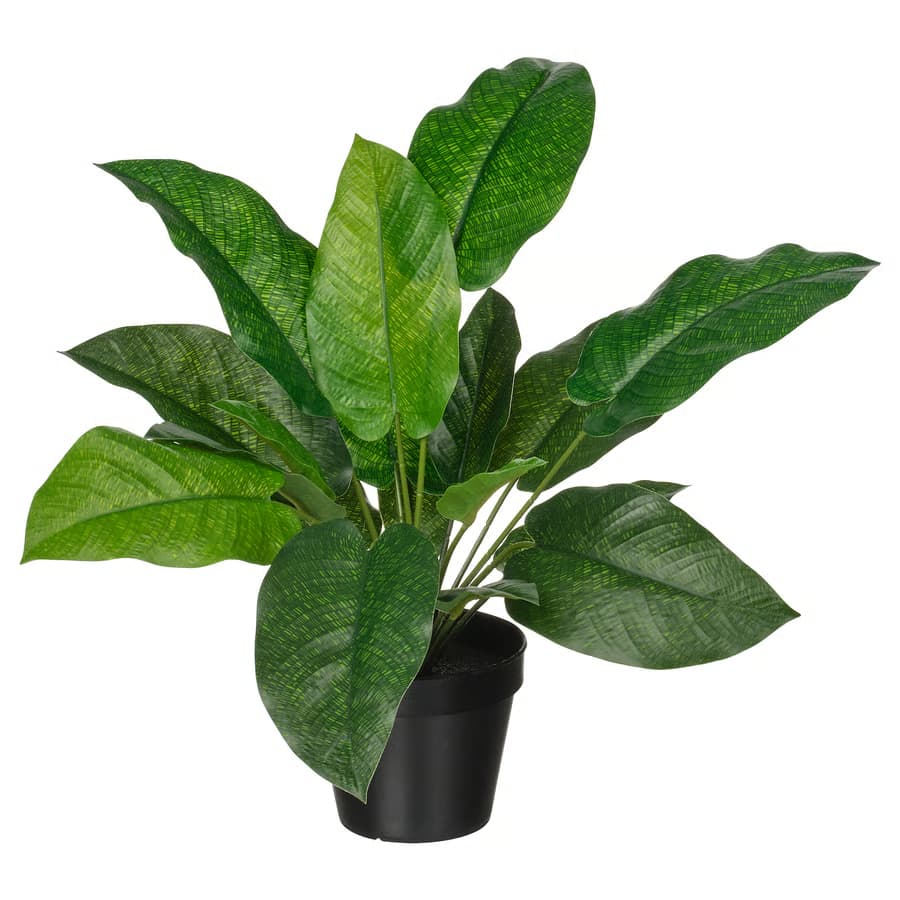 گیاه مصنوعی FEJKA مدل calathea ایکیا