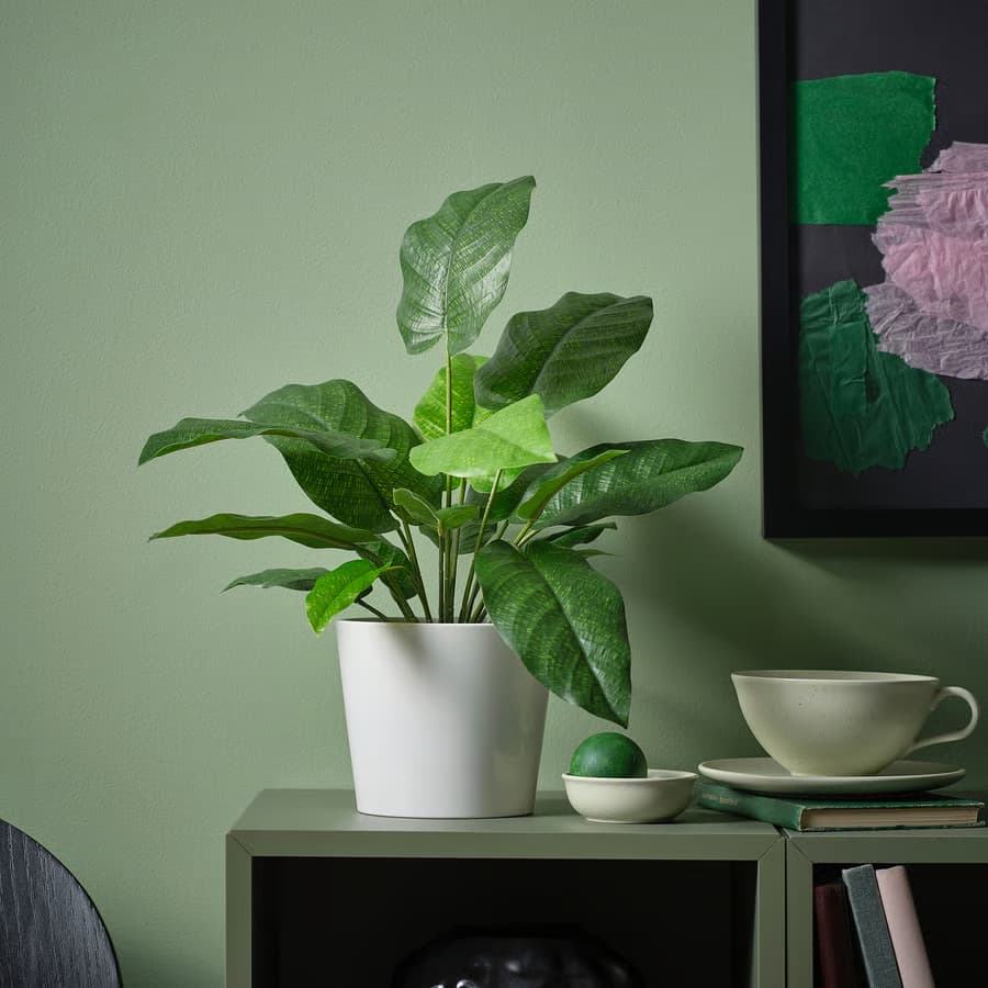 گیاه مصنوعی FEJKA مدل calathea ایکیا — تصویر ۲