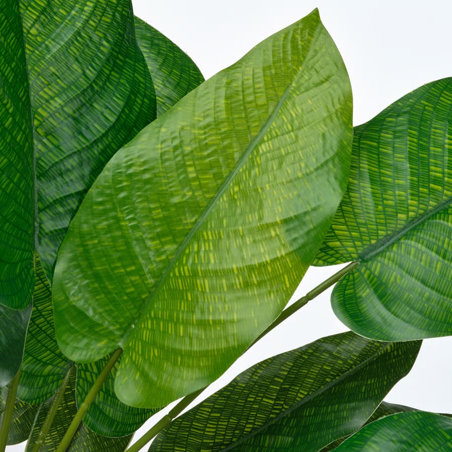 گیاه مصنوعی FEJKA مدل calathea ایکیا — تصویر ۴