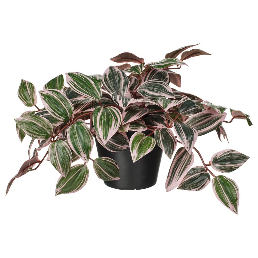 گیاه مصنوعی FEJKA مدل Spiderwort ایکیا