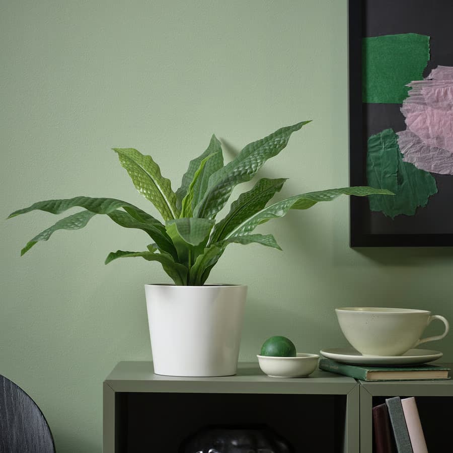گیاه گلدانی مصنوعی IKEA FEJKA قطر 12 ایکیا — تصویر ۲