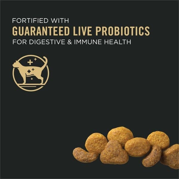غذای خشک گربه پورینا پروپلن ادالت رنال پلاس ۱.۵ کیلو | Pro Plan Adult Chicken Renal Plus — تصویر ۳