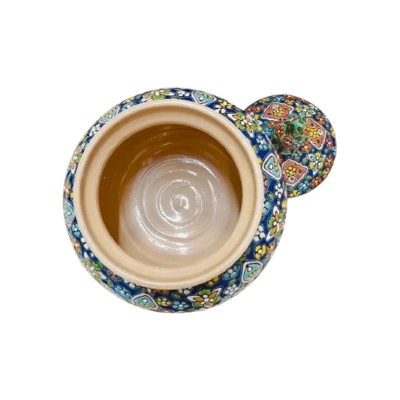 شکلات‌خوری بزرگ مینا — تصویر ۳