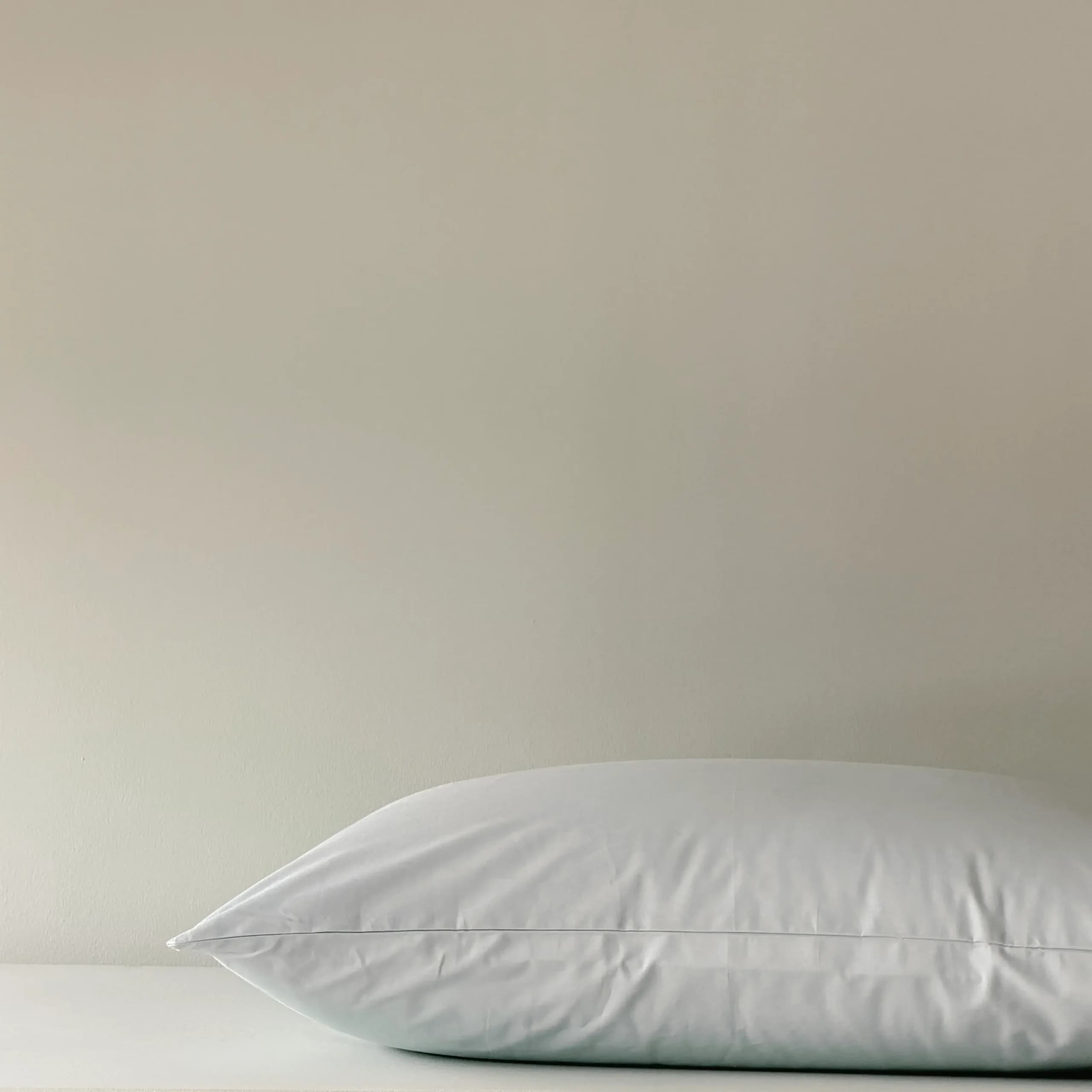 روبالشی بیسیک کارن مینت برند Nest — تصویر ۲