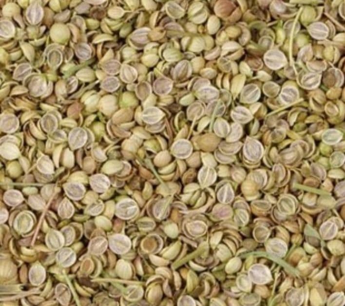 تخم گشنیز لپه