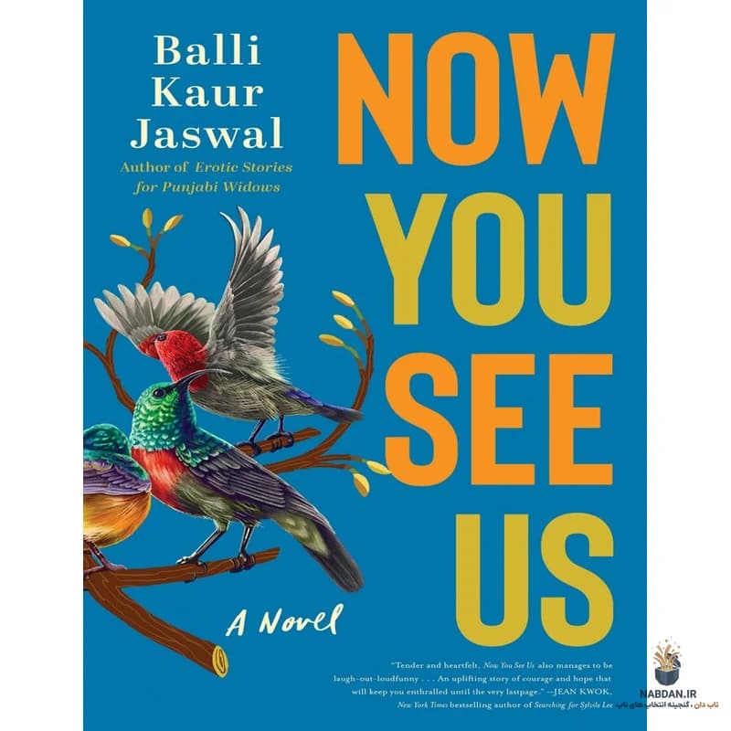 کتاب Now You See Us (حالا ما را می‌بینی) نسخه انگلیسی PDF | بالی کاور جسوال