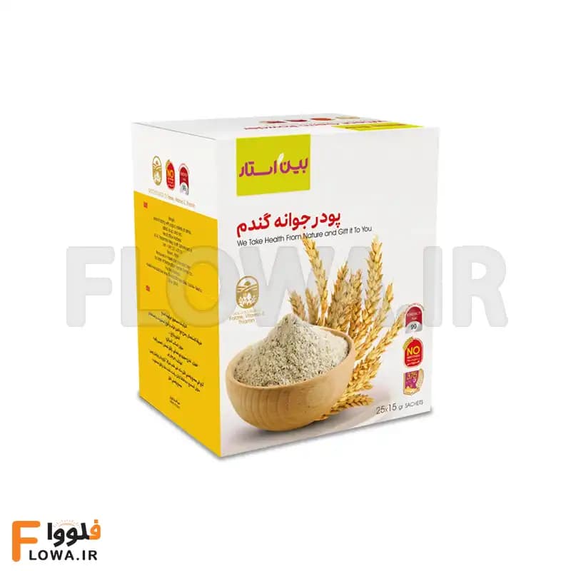 پودر جوانه گندم بین استار 375 گرمی