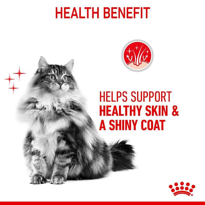 غذای خشک گربه مراقبت از پوست و مو رویال کنین Royal Canin Hair & Skin Care وزن 2 کیلوگرم — تصویر ۴