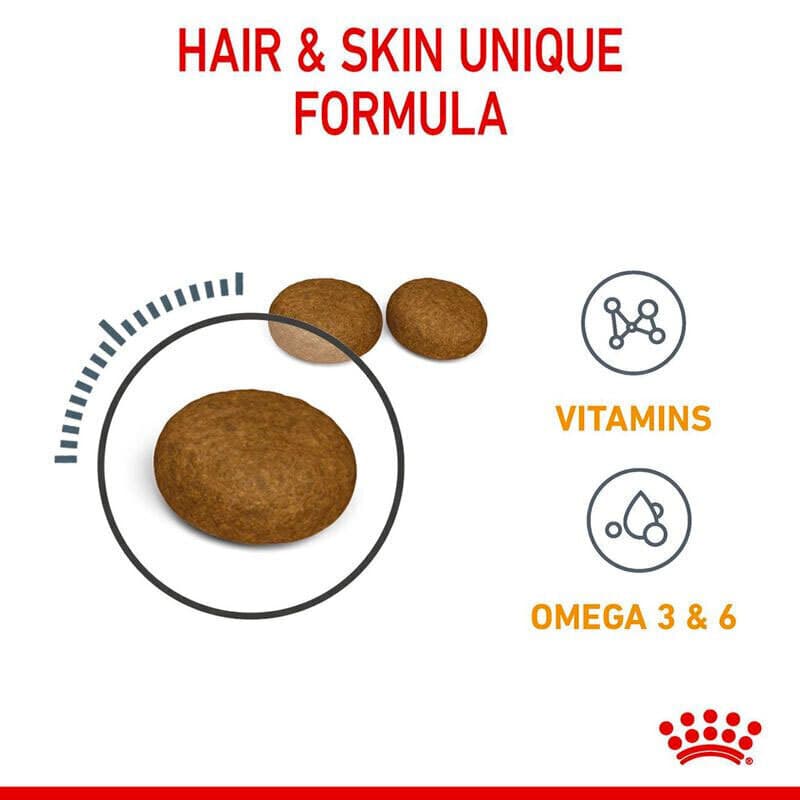غذای خشک گربه مراقبت از پوست و مو رویال کنین Royal Canin Hair & Skin Care وزن 400 گرم — تصویر ۳
