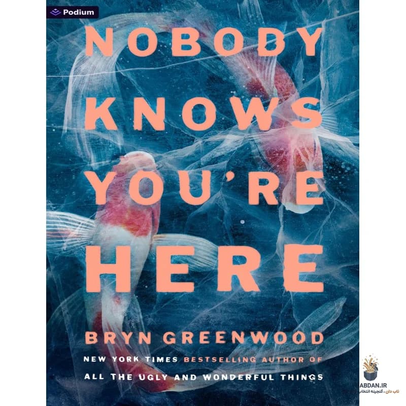 کتاب Nobody Knows You’re Here (هیچ‌کس نمی‌داند تو اینجایی) نسخه انگلیسی PDF | برین گرین‌وود