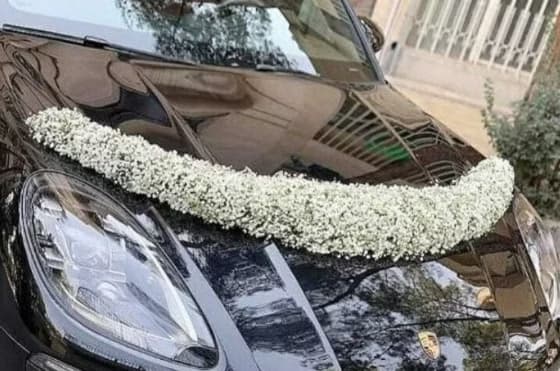 گل آرایی ماشین عروس با گل ژیپسوفیلا | کد: 69